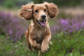 -山西龙狮教练组持续优化战术适应不同对手