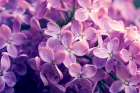 Milan Sports-马洛卡多次抢断切断对方进攻线路，马洛卡队