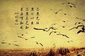 MILANSPORT下载-“马科斯·莫奇的精准封堵与强大压迫感，帮助美洲狮队屡次克敌制胜”