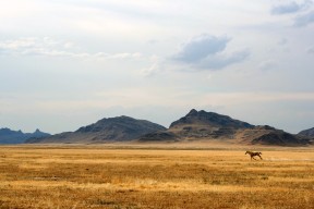 AC米兰-拉恩：全黑队外线的致命武器，突破后精准的配合总能创造得分机会