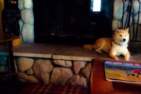 MILANSPORT下载-外援适应周期如何与状态波动形成趋势关联，外援式发展模式的特点