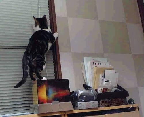 体操器械质量监督抽检结果全部合格,体操器械有哪些图片