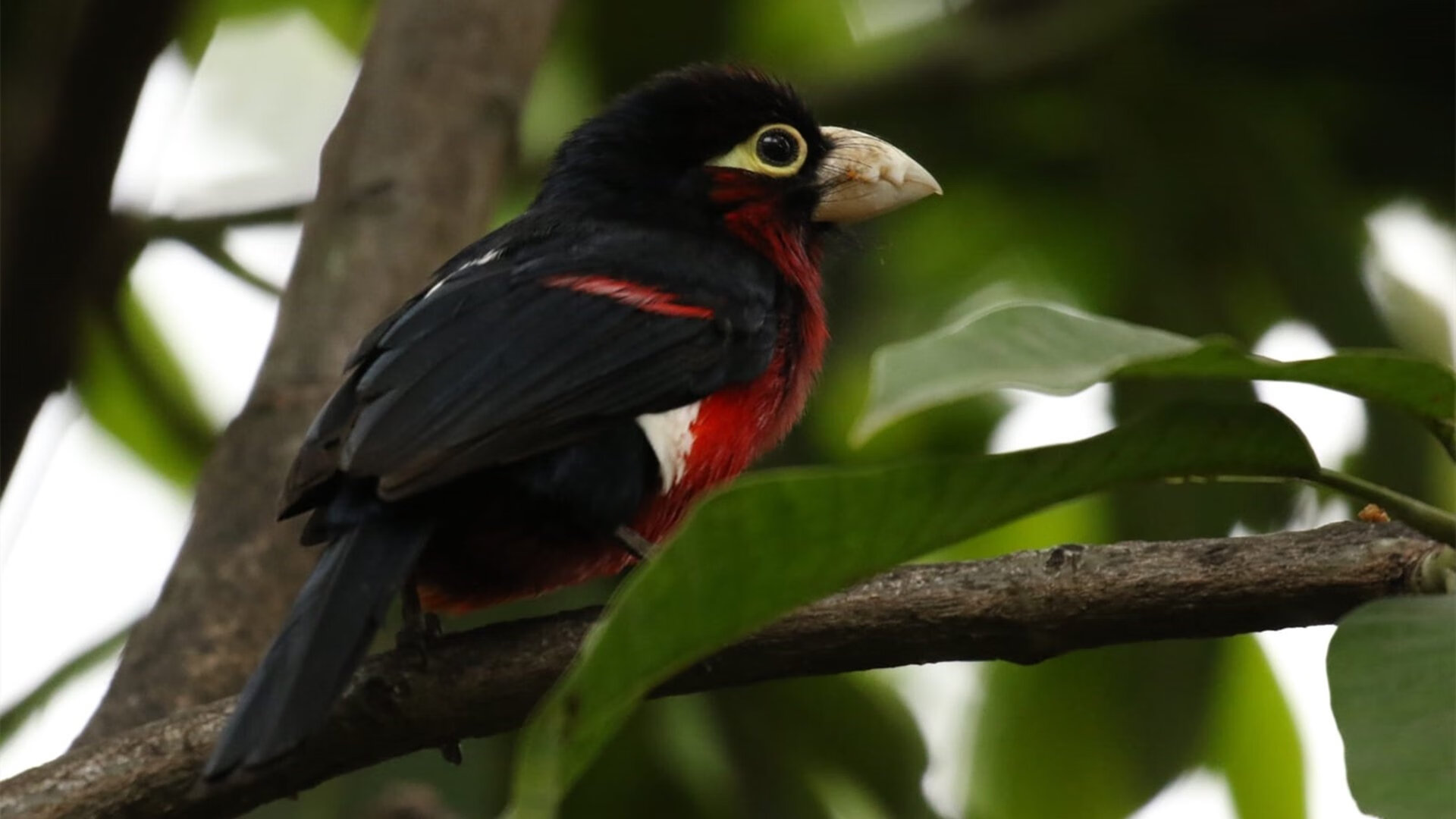 滑行速度控制数据对比分析,滑行时间怎么算