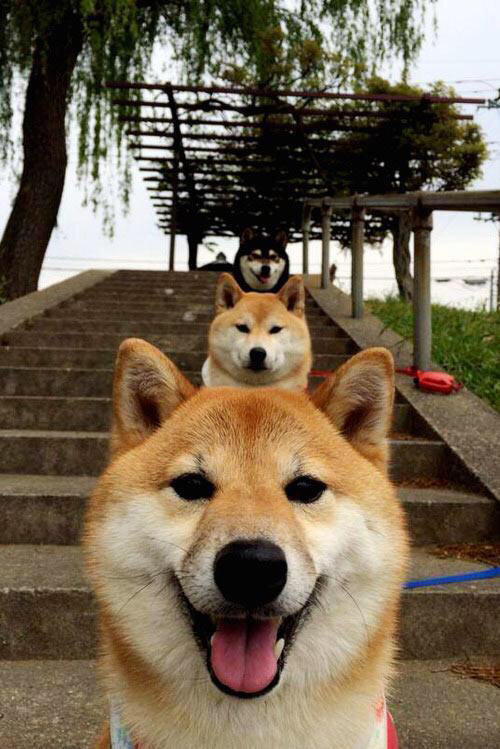 凯恩·瑞安:凭借高效的防守,助力全黑队建立稳固防线,rk凯恩