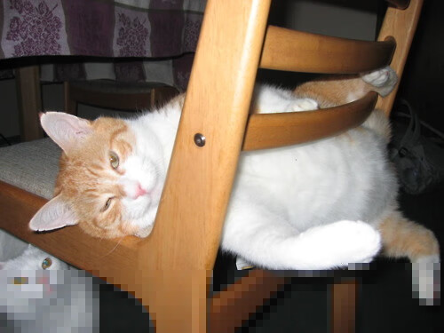 城市篮球发展指数首次发布用于评估各地篮球活跃程度,篮球的城市