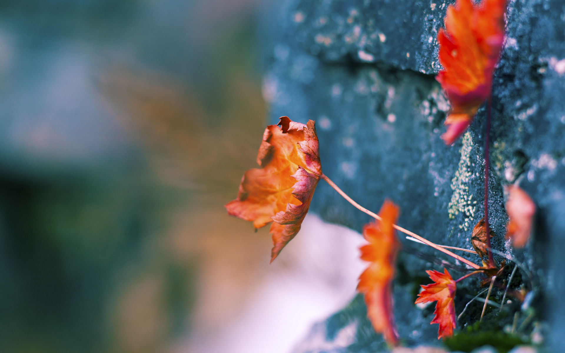 法国队在国际友谊赛中击败强敌,彰显世界强队地位,法国队小组赛